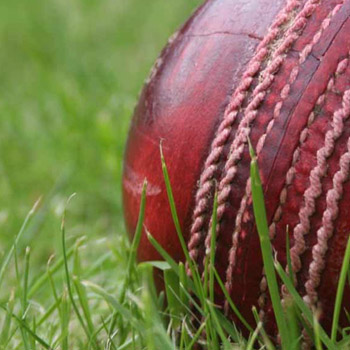 Alex Park July & August Cricket Calendar